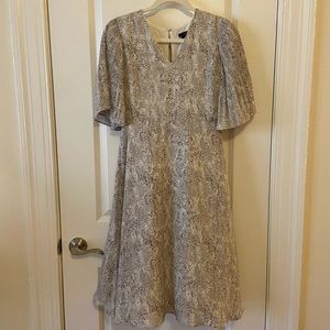 Ann Taylor Factory Size 2 Petite Midi Dress